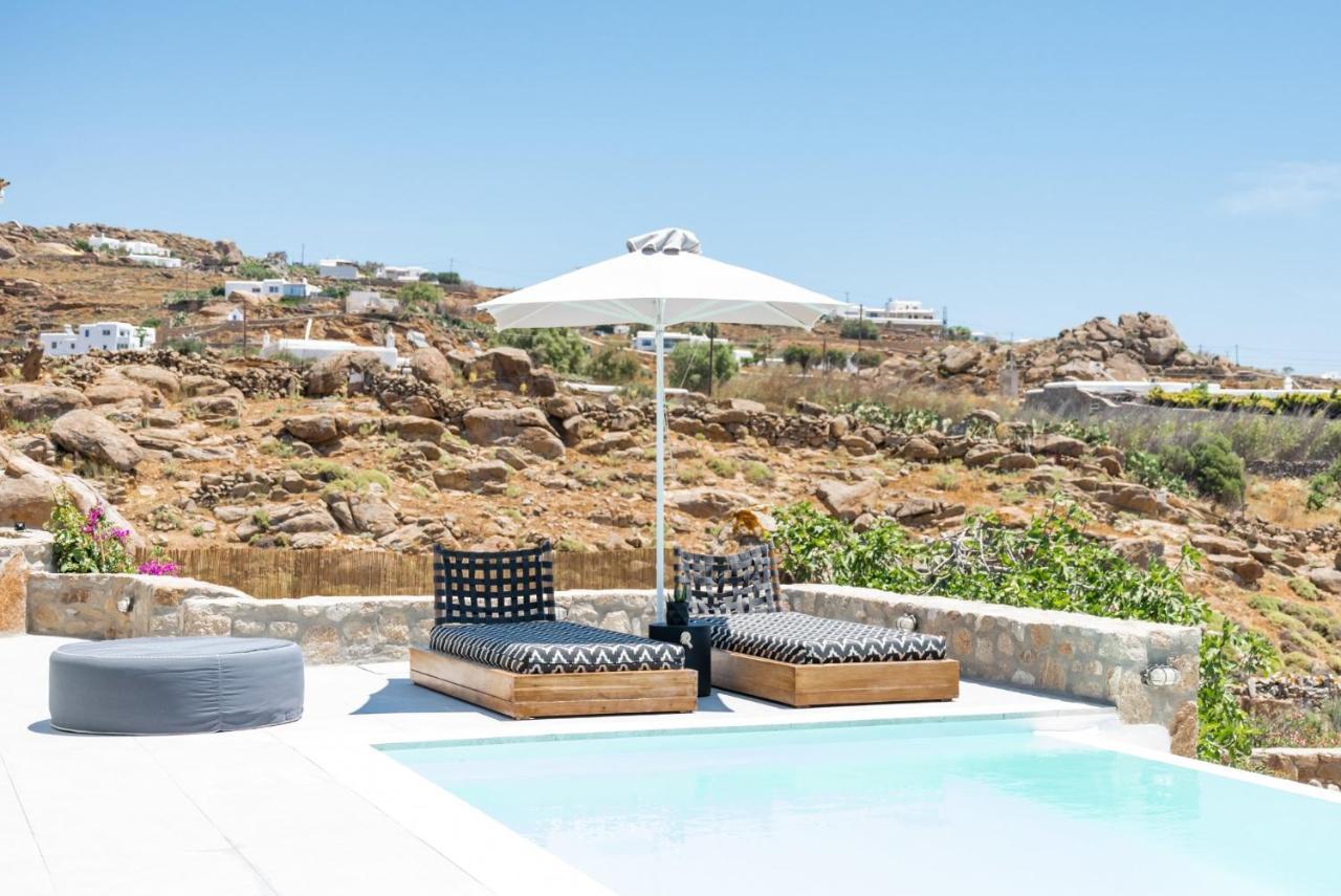 Dioni Villa Mykonos เปรากา ภายนอก รูปภาพ