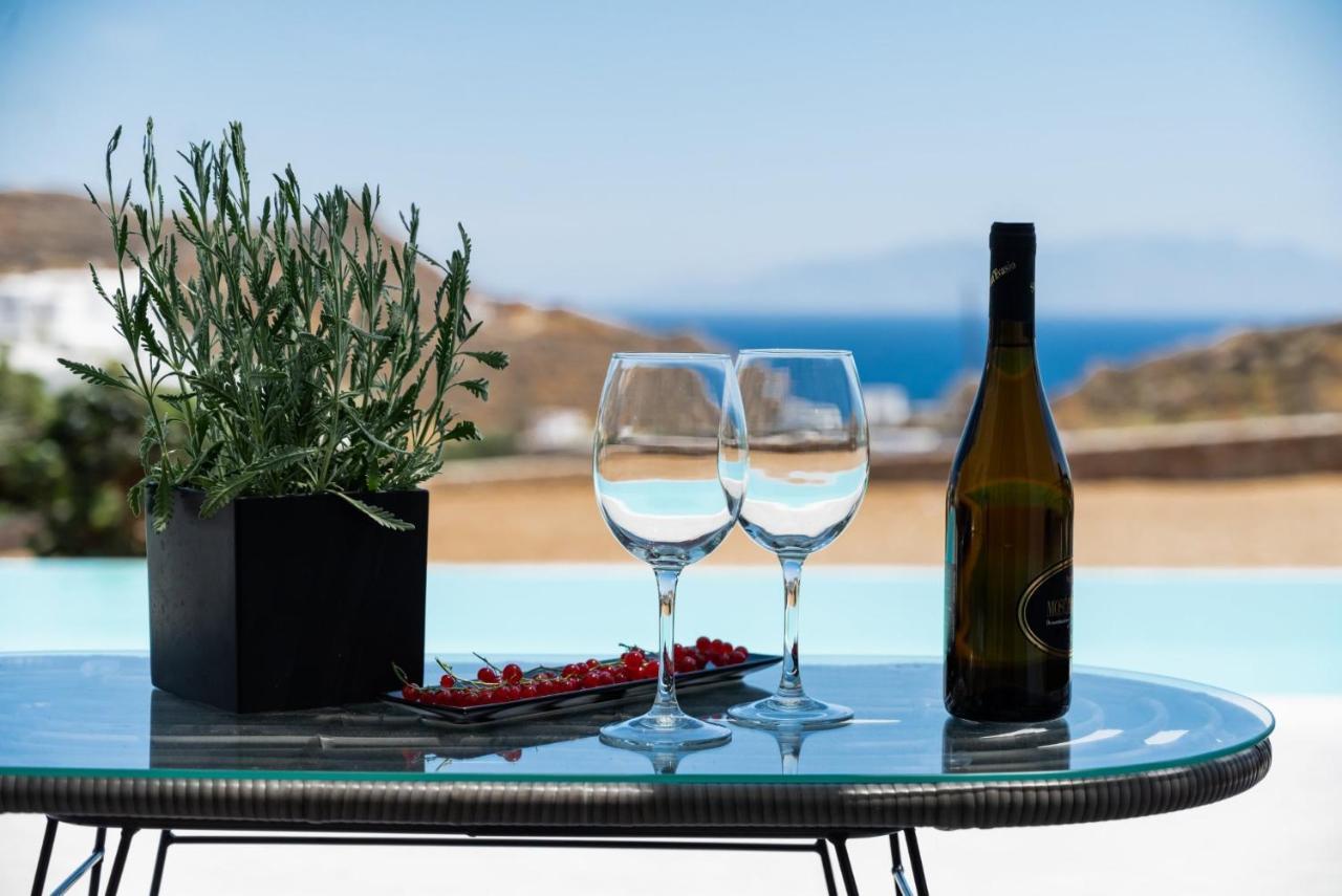Dioni Villa Mykonos เปรากา ภายนอก รูปภาพ