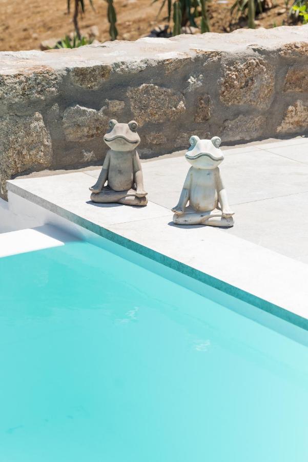 Dioni Villa Mykonos เปรากา ภายนอก รูปภาพ
