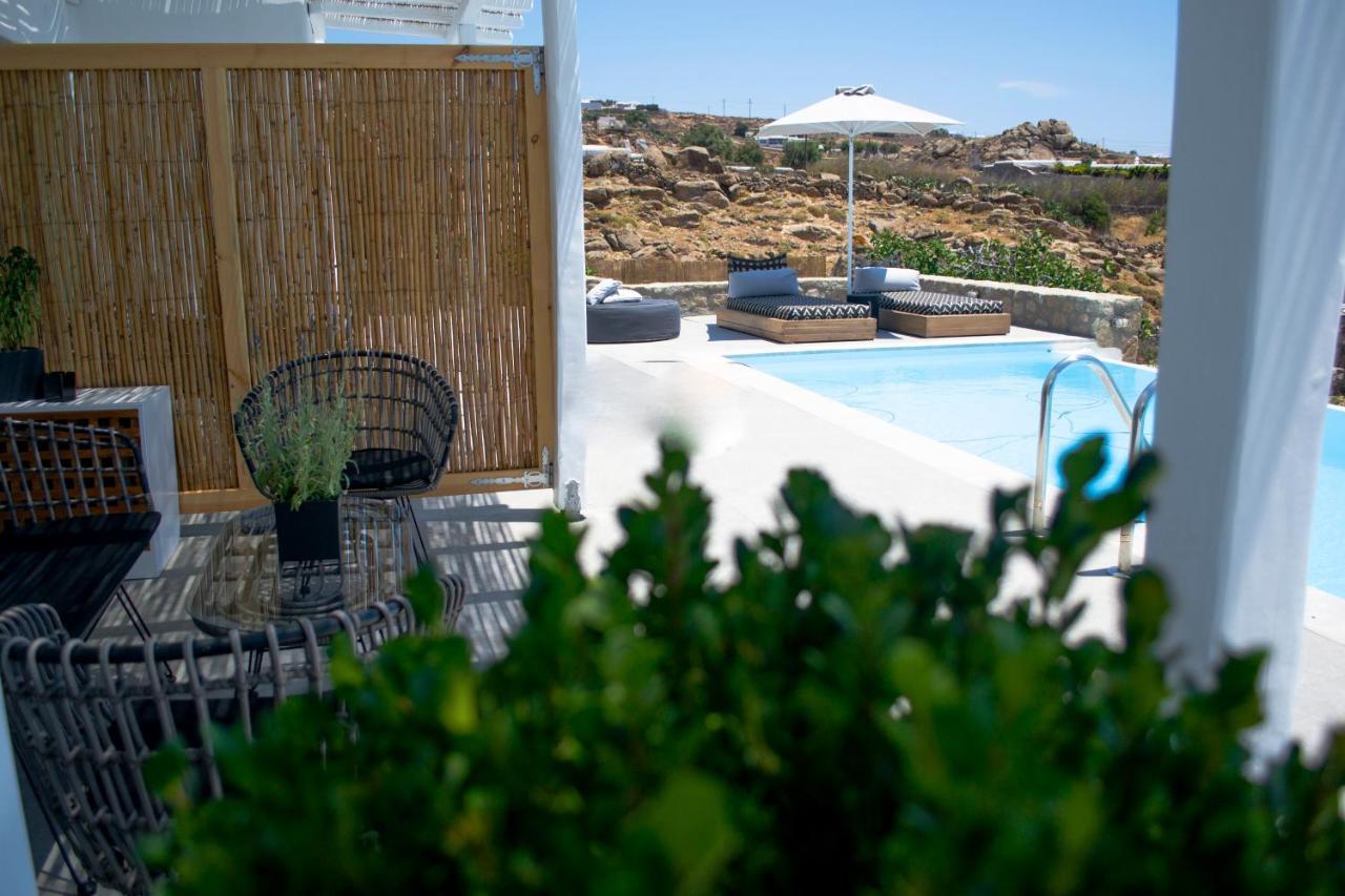 Dioni Villa Mykonos เปรากา ภายนอก รูปภาพ