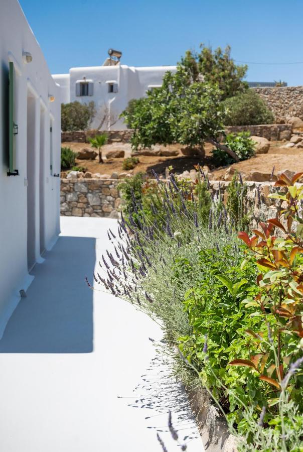 Dioni Villa Mykonos เปรากา ภายนอก รูปภาพ