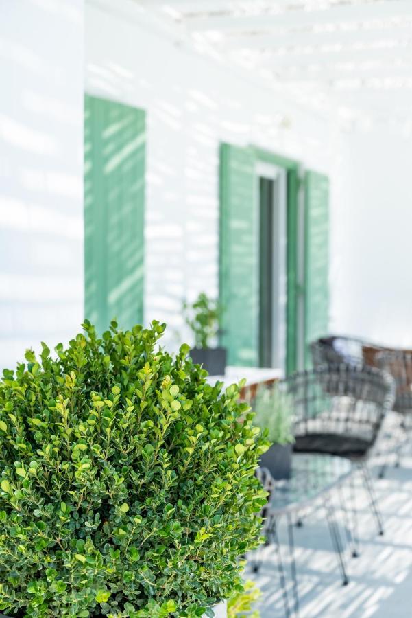 Dioni Villa Mykonos เปรากา ภายนอก รูปภาพ